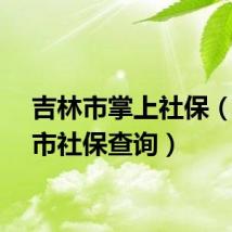 吉林市掌上社保（吉林市社保查询）