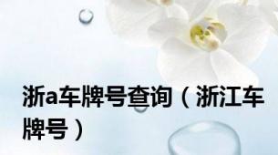 浙a车牌号查询（浙江车牌号）