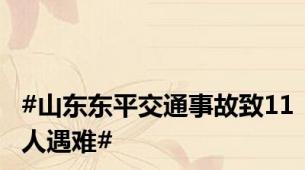 #山东东平交通事故致11人遇难#