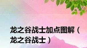龙之谷战士加点图解（龙之谷战士）