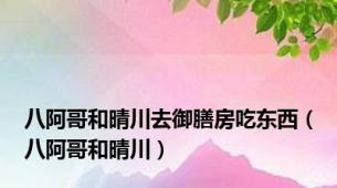 八阿哥和晴川去御膳房吃东西（八阿哥和晴川）
