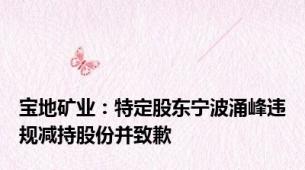 宝地矿业：特定股东宁波涌峰违规减持股份并致歉
