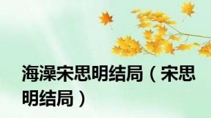 海澡宋思明结局（宋思明结局）