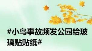#小鸟事故频发公园给玻璃贴贴纸#