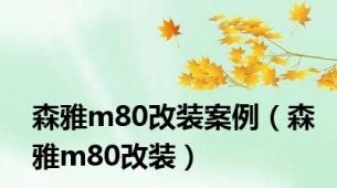 森雅m80改装案例（森雅m80改装）