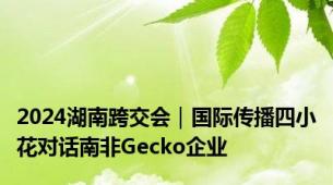 2024湖南跨交会｜国际传播四小花对话南非Gecko企业