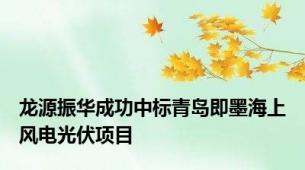 龙源振华成功中标青岛即墨海上风电光伏项目