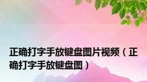 正确打字手放键盘图片视频（正确打字手放键盘图）