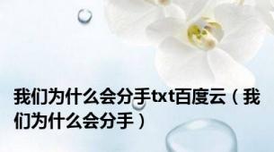 我们为什么会分手txt百度云（我们为什么会分手）