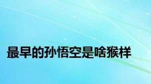 最早的孙悟空是啥猴样