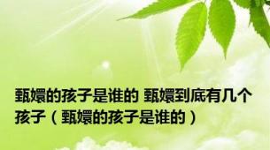 甄嬛的孩子是谁的 甄嬛到底有几个孩子（甄嬛的孩子是谁的）