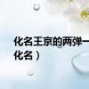 化名王京的两弹一星（化名）