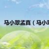 马小翠孟真（马小翠）
