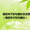 骆驼祥子好句摘抄及欣赏100字（骆驼祥子好句摘抄）