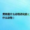 黄鳝是什么动物进化的（黄鳝是什么动物）