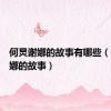 何炅谢娜的故事有哪些（何炅谢娜的故事）