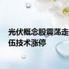 光伏概念股震荡走高 赛伍技术涨停
