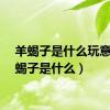 羊蝎子是什么玩意（羊蝎子是什么）