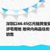 深圳以66.65亿元挂牌宝安区一宗涉宅用地 地块内商品住房全部现房销售