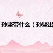孙坚带什么（孙坚出装）