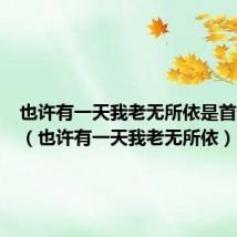 也许有一天我老无所依是首什么歌（也许有一天我老无所依）