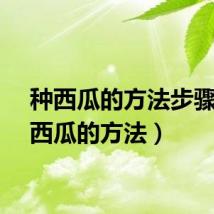 种西瓜的方法步骤（种西瓜的方法）