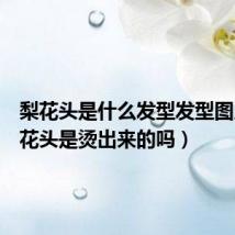 梨花头是什么发型发型图片(梨花头是烫出来的吗)