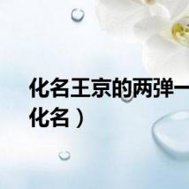 化名王京的两弹一星（化名）