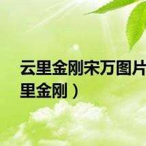 云里金刚宋万图片（云里金刚）