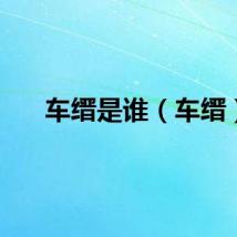 车缙是谁（车缙）