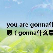 you are gonna什么意思(gonna什么意思)