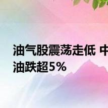 油气股震荡走低 中国海油跌超5%