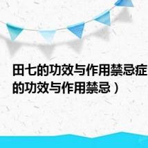 田七的功效与作用禁忌症(田七的功效与作用禁忌)