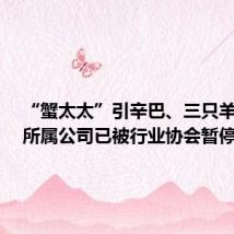 “蟹太太”引辛巴、三只羊互掐,所属公司已被行业协会暂停会员