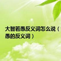 大智若愚反义词怎么说(大智若愚的反义词)
