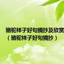 骆驼祥子好句摘抄及欣赏100字（骆驼祥子好句摘抄）