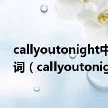 callyoutonight中文歌词(callyoutonight)