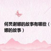 何炅谢娜的故事有哪些（何炅谢娜的故事）
