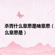 杀青什么意思是啥意思(杀青什么意思是)