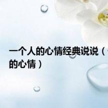 一个人的心情经典说说(一个人的心情)