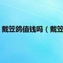 戴笠鸽值钱吗(戴笠鸽)