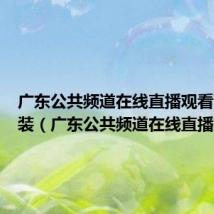 广东公共频道在线直播观看下载安装(广东公共频道在线直播)