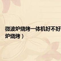 微波炉烧烤一体机好不好(微波炉烧烤)