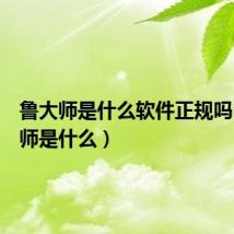 鲁大师是什么软件正规吗(鲁大师是什么)