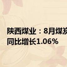 陕西煤业：8月煤炭产量同比增长1.06%