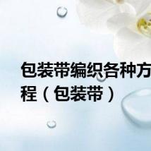 包装带编织各种方法教程(包装带)