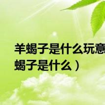 羊蝎子是什么玩意（羊蝎子是什么）