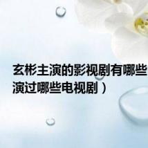 玄彬主演的影视剧有哪些(玄彬演过哪些电视剧)