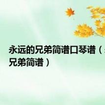 永远的兄弟简谱口琴谱(永远的兄弟简谱)