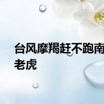 台风摩羯赶不跑南方秋老虎